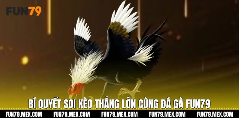 Bí quyết soi kèo thắng lớn cùng Đá Gà Fun79